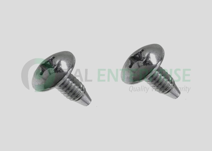 Brass Mushroom Phillips Head Screw